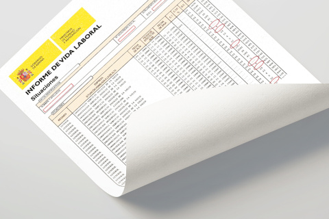 CCSEfacil culture picture